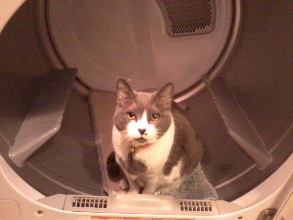 /Images/uploads/Humane Rescue Alliance/HRACalendarPhotoContest/entries/8839thumb.jpg
